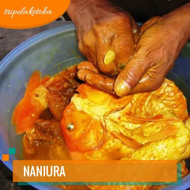 Ikan Mas Naniura