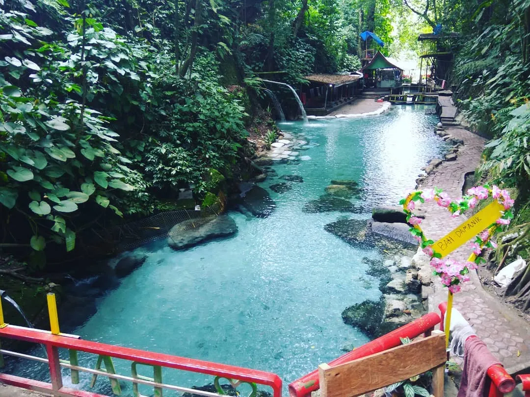 31184237 144161536435057 2687030341805277184 N