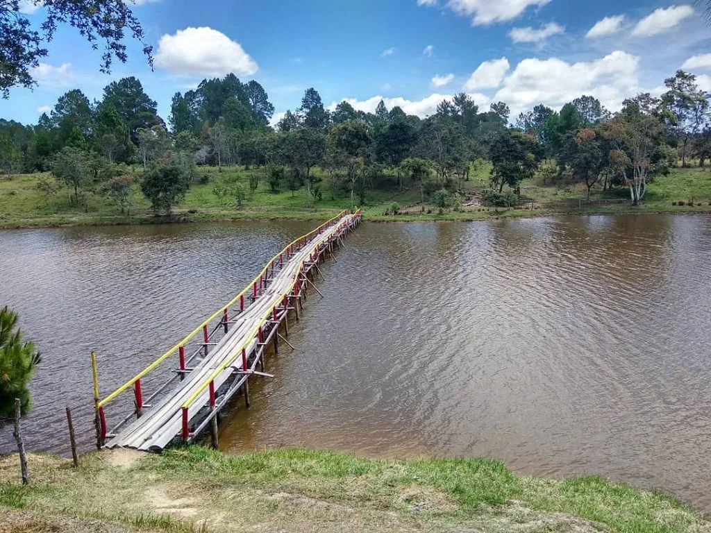 37758850 1433732186770416 7052869610416111616 N