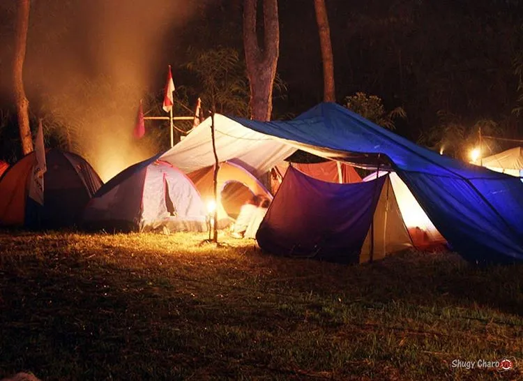 Berkemah di Tangkahan Langkat Menyatu dengan Alam