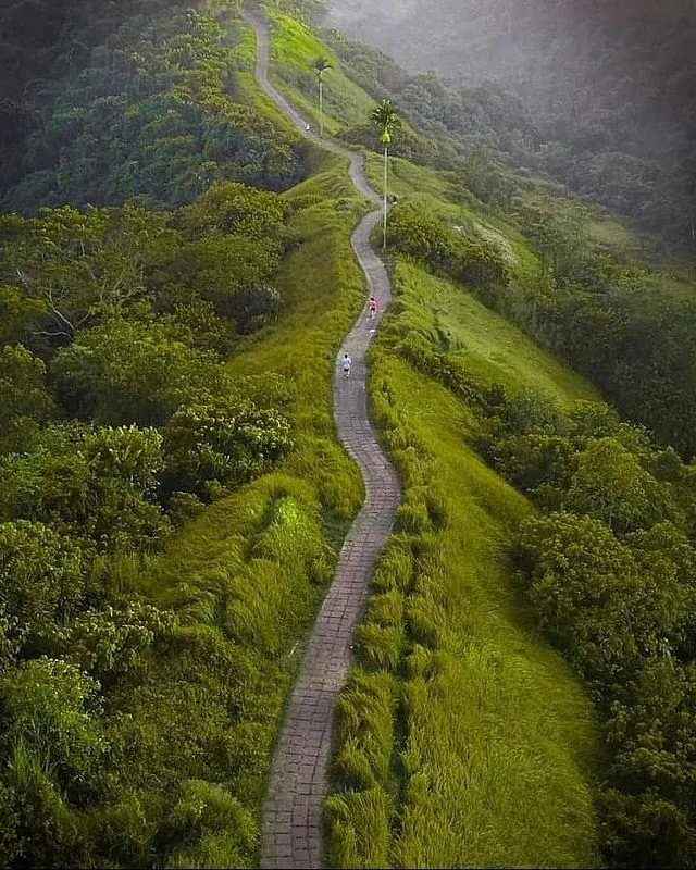 Bukit Cinta Campuhan
