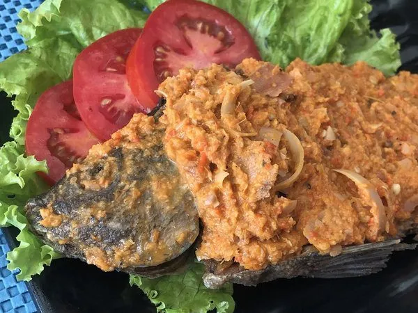 Ikan Natinombur